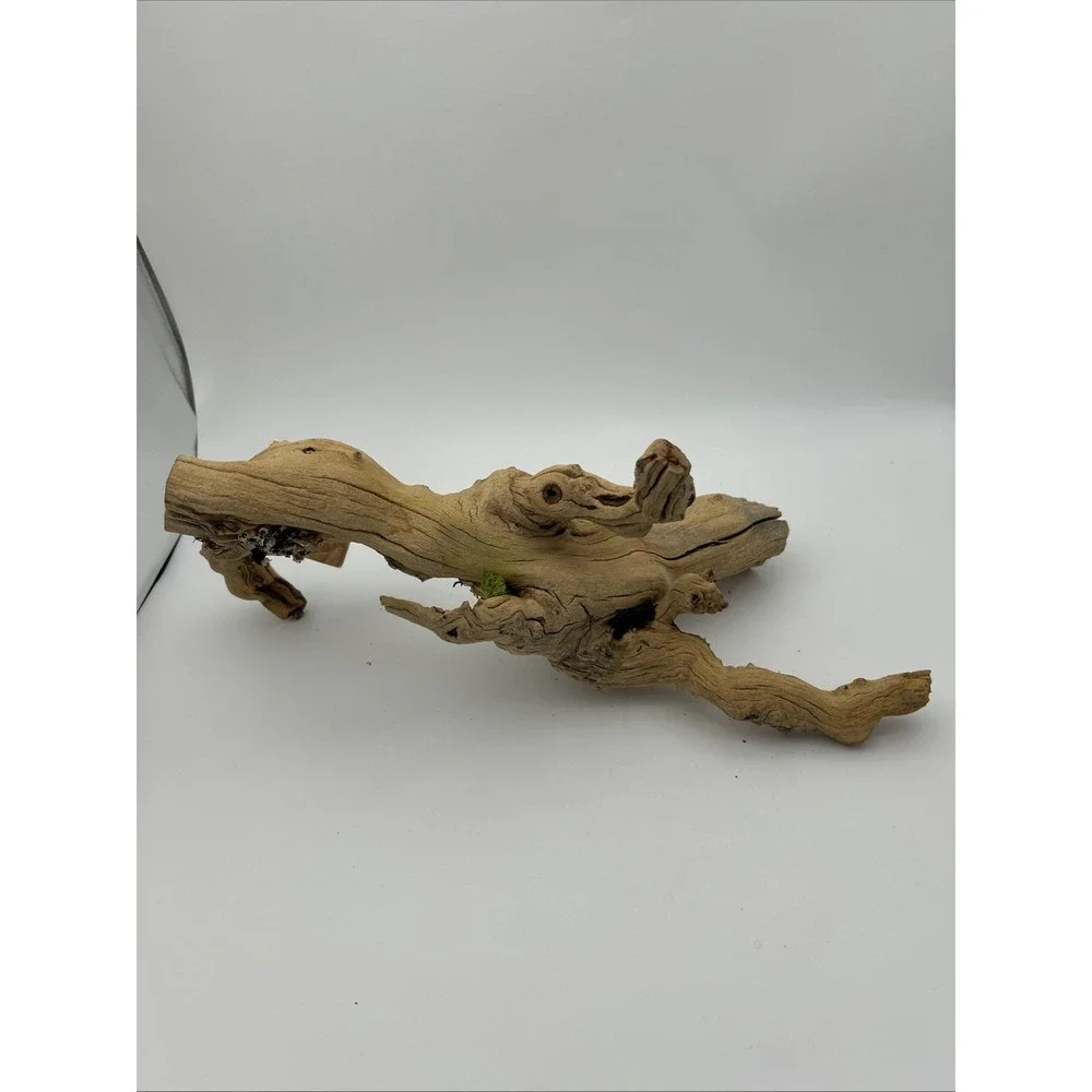 Nature Scapes Grapewood reptiles Or Airplants‎ 14x6 natural stump decor
